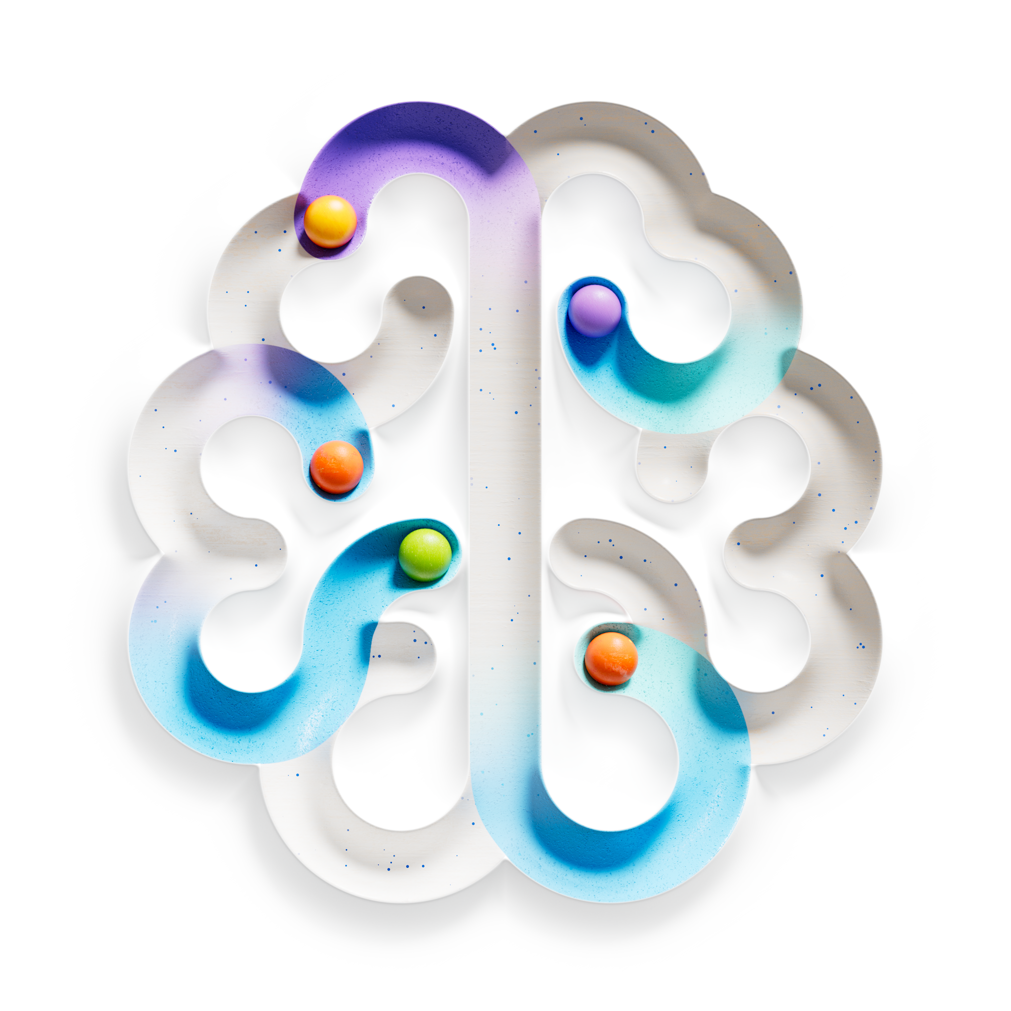 brain
